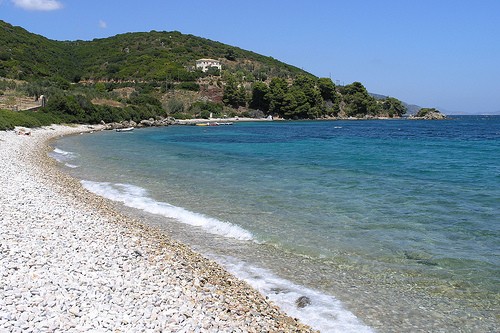 Glyfa - Attribution: Rupert Brun Glyfa